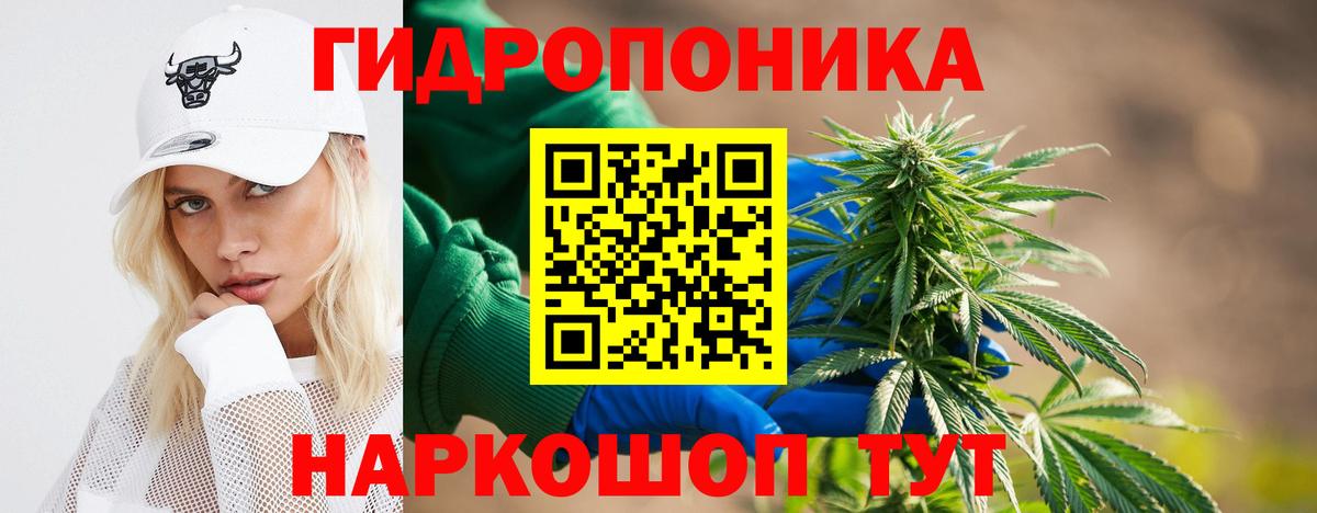 Видное  Марихуана конопля  Бошки марихуана ГИДРОПОН  Вход с VPN  Конопля планчик 